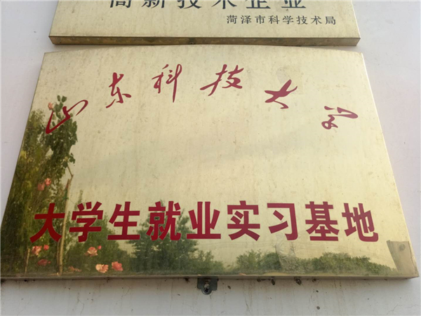 公司榮譽